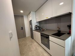 Amber Park (D15), Condominium #554710261